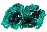 Gemmy Dioptase Crystal Cluster - Renéville Mine, Congo #168639-1